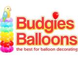 Budgies Balloons