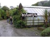 Butterfly House and Seaforde Gardens - Downpatrick