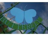 Butterfly World