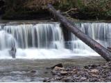 Calderglen Country Park