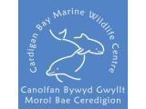 Cardigan Bay Marine Wildlife Centre