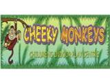 Cheeky Monkeys Indoor Play Centre - Ballyclare