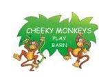 Cheeky Monkeys Play Barn Fulbourn