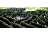 Cliveden Gardens and Maze