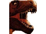 Combe Martin Wildlife & Dinosaur Park