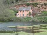 Combe Sydenham Country Park - Taunton