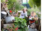 The World of Beatrix Potter Attraction