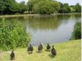 Corby Boating Lake