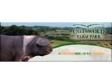 Cotswold Farm Park - Cheltenham