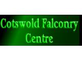 Cotswold Falconry Centre - Moreton-in-Marsh