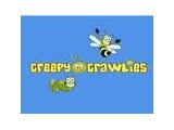 Creepy crawlies - Chelmsford