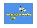 Creepy crawlies - Chelmsford