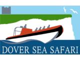 Dover Sea Safari