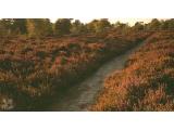 Dunwich Heath Coastal Centre and Beach