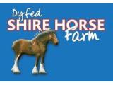 Dyfed Shire Horse Farm