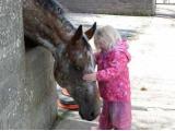 Pevlings Farm Riding and Livery Stables