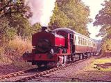 Plym Valley Railway