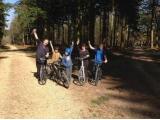 Forest Leisure Cycling