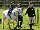 Lavant House Stables