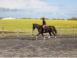 Pebsham Equestrian Centre