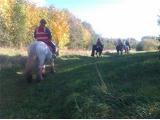 Derbyshire Pony Trekking