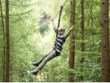 Go Ape Delamere