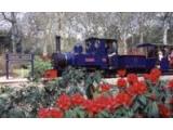Exbury Gardens and Steam Railway - Southampton