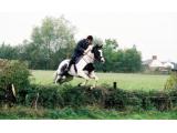 Dean Valley Farm