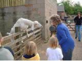 Stonehurst Family Farm, Loughborough
