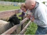Willow Tree Family Farm