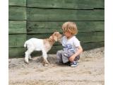 Noahs Ark Zoo Farm, Bristol