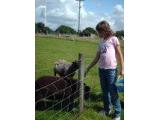 Lakemore Farm Park
