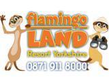 Flamingo Land - Malton