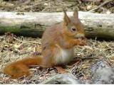 Formby Nature Reserve