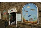 Fowey Aquarium - Cornwall
