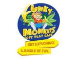 Funky Monkeys - Kennedy Centre