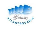 Galway Atlantaquaria - National Aquarium of Ireland