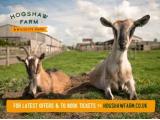 Hogshaw Farm & Wildlife Park