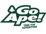 GO APE Grizedale Forest Park - Cumbria