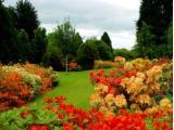 Hazlehead Park Pets Corner - Aberdeen