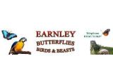 Earnley Butterflies, Birds and Beasts - Chichester