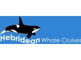Hebridean Whale Cruises