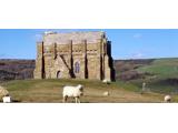 ABBOTSBURY, ST CATHERINE'S CHAPEL