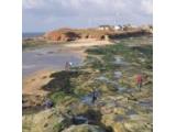 Hilbre Islands - Hoylake