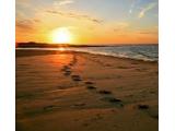 Holkham Beach