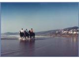 Woolacombe Riding Stables