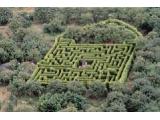 Hoo Hill Maze