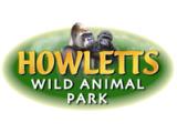 Howletts Wild Animal Park, Canterbury