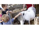 Chatsworth Farmyard & Adventure Playground