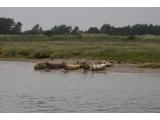 Seal and Coastal Mystery trip